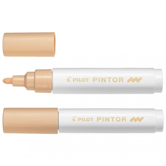 Pilot Pintor Medium Tip Pink