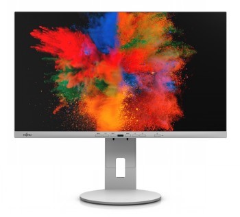 FUJITSU 24" P2410 WE MARBLE GREY USB-C (FHD/16:10/HAS/PIVOT/DP/HDMI/USB-C/95W)