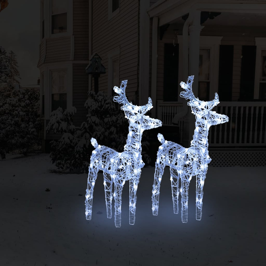 vidaXL Jouluporot 2 kpl kylmä valkoinen 80 LED-valoa akryyli