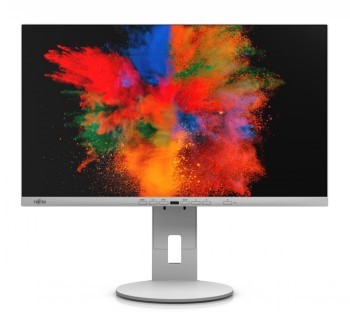 FUJITSU 24" P2410 TE MARBLE GREY USB-C (FHD/16:9/HAS/PIVOT/DP/HDMI/USB-C)