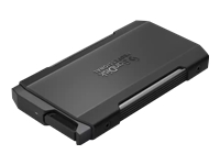 Sandisk Pro Blade M.2 SSD Transport 1TB