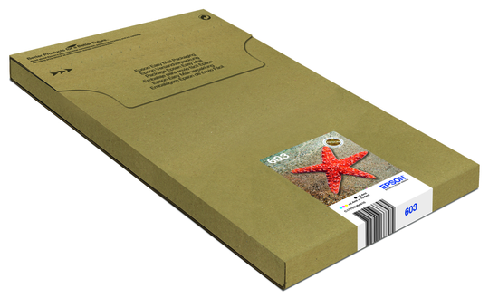EPSON Multipack 4-colours 603 EasyMail