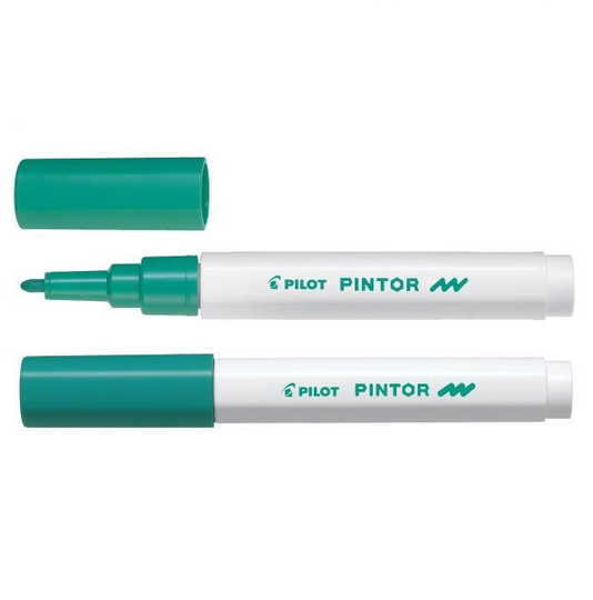 Pilot Pintor Extra Fine Tip Black