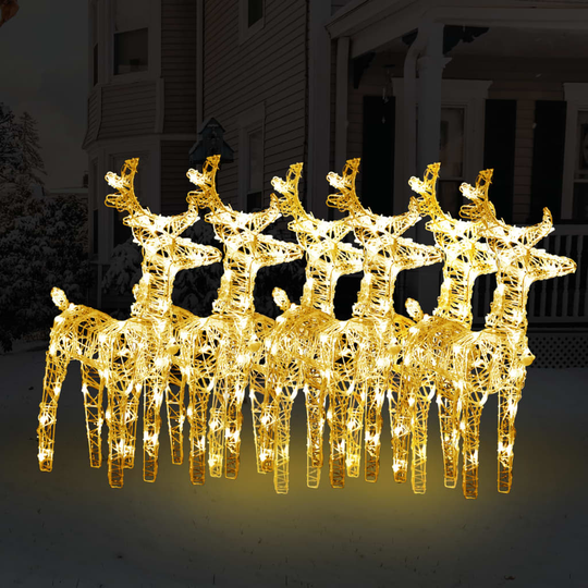 vidaXL Jouluporot 6 kpl kylmä valkoinen 240 LED-valoa akryyli