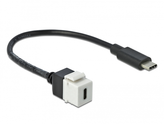 This Module By Delock Can Be Used To Extend A USB Connection. With Its Standardised Dimensions The M