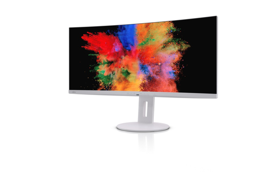 FUJITSU Display P34-9 UE 34inch