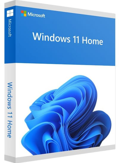 WINDOWS 11 HOME, FPP, USB, ENG