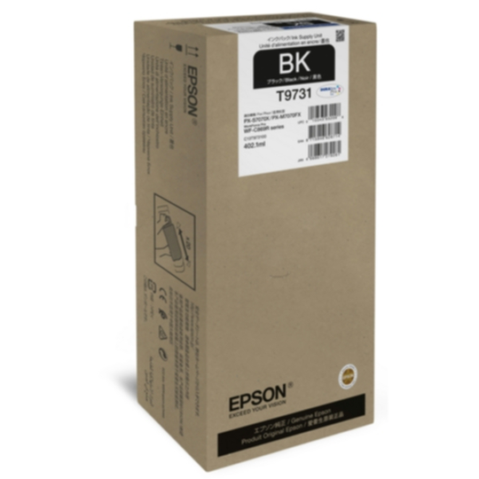 Epson T9731 Mustepatruuna musta