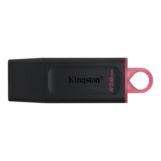256GB USB3.2 Gen1 DataTraveler Exodia (black + Pink)