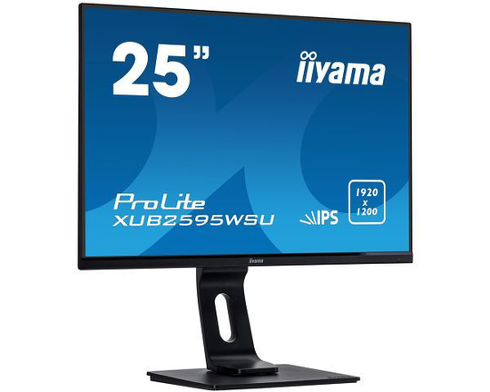 Iiyama 25-IN Business WUXGA