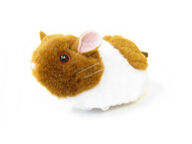 Vikkelä hamsteri lemmikille